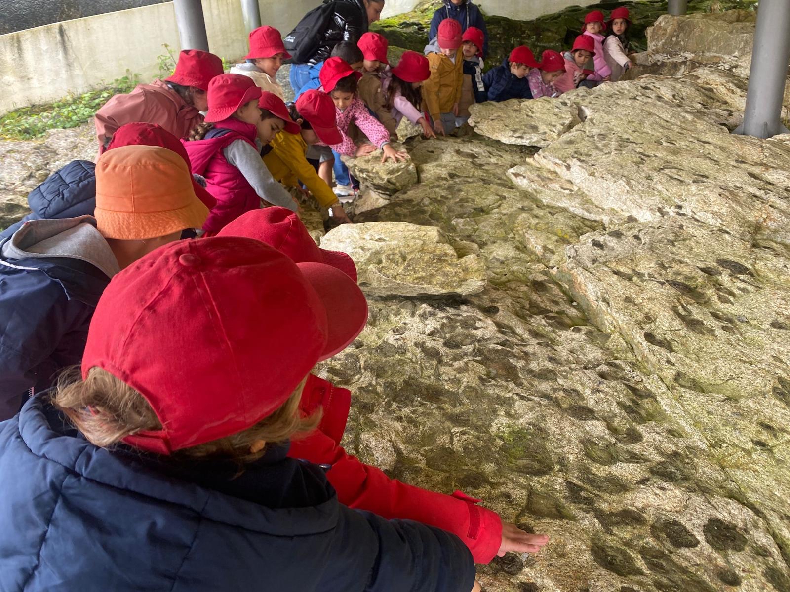 497445679_1119038913571366_7380330275401874273_n