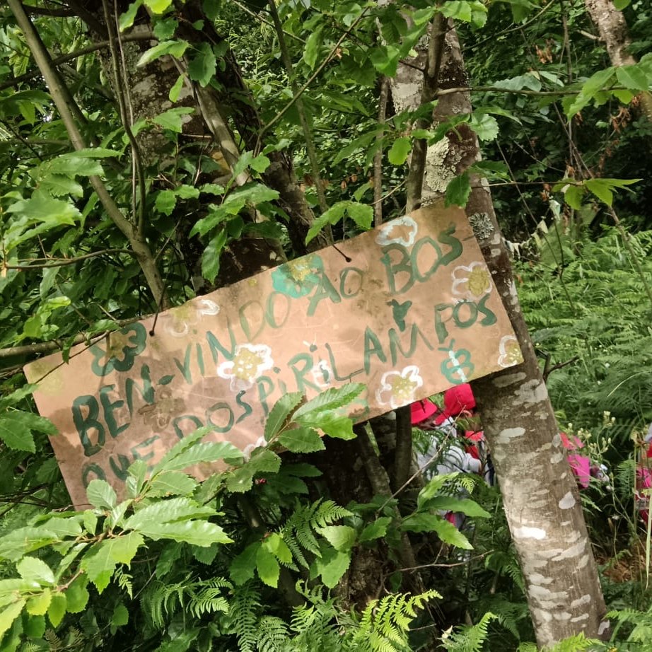 503373304_1135162985292292_6910663382464486147_n