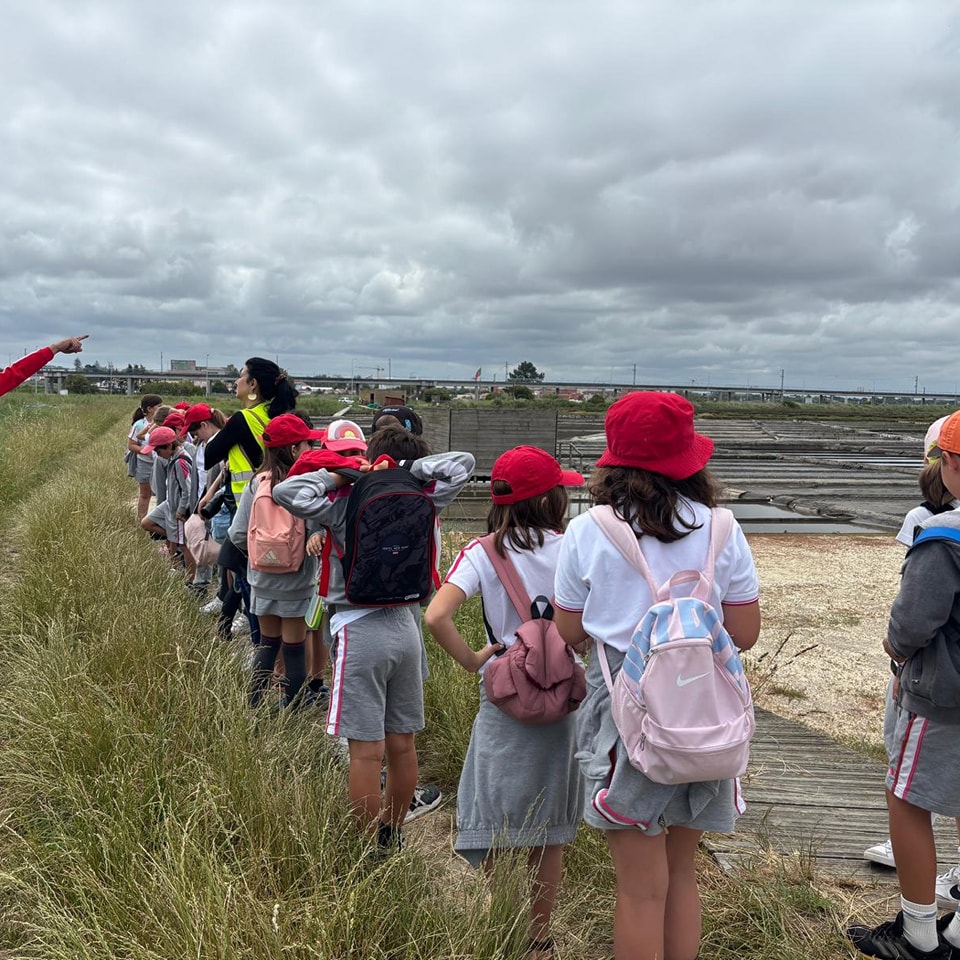 504423146_1135425758599348_8794327862371100130_n