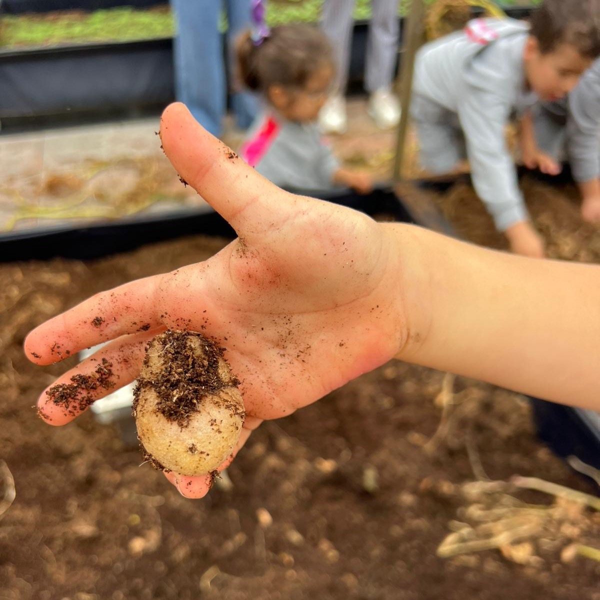 509278567_1145040760971181_320199251081963834_n