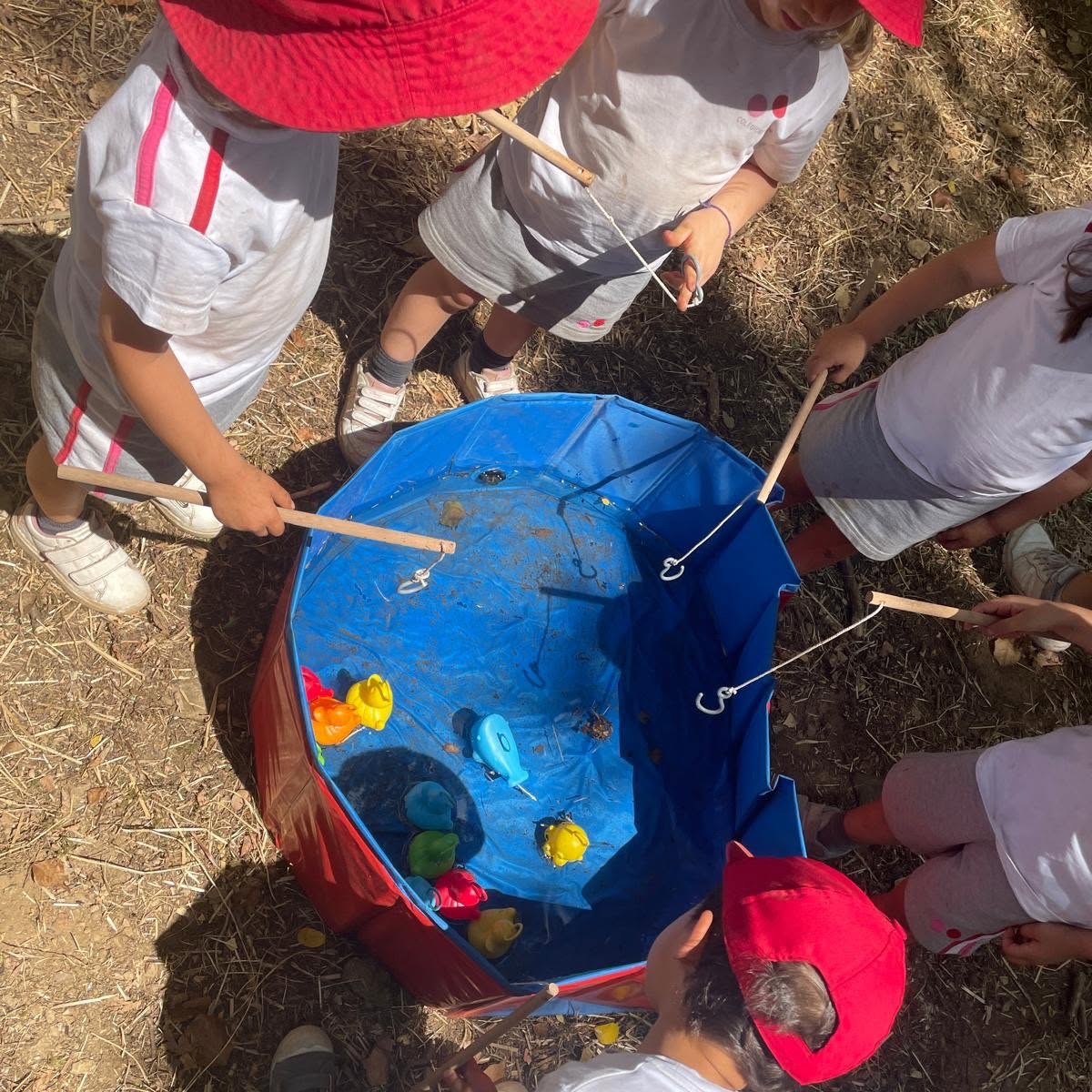 515346733_1155701359905121_8539420412330038941_n