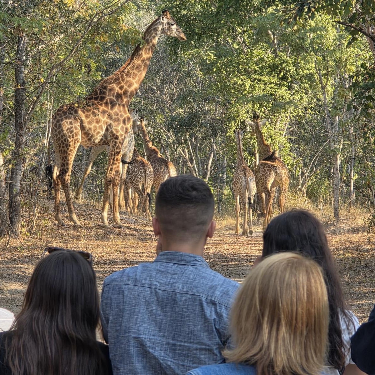 524293590_1177389927736264_836205961049468538_n