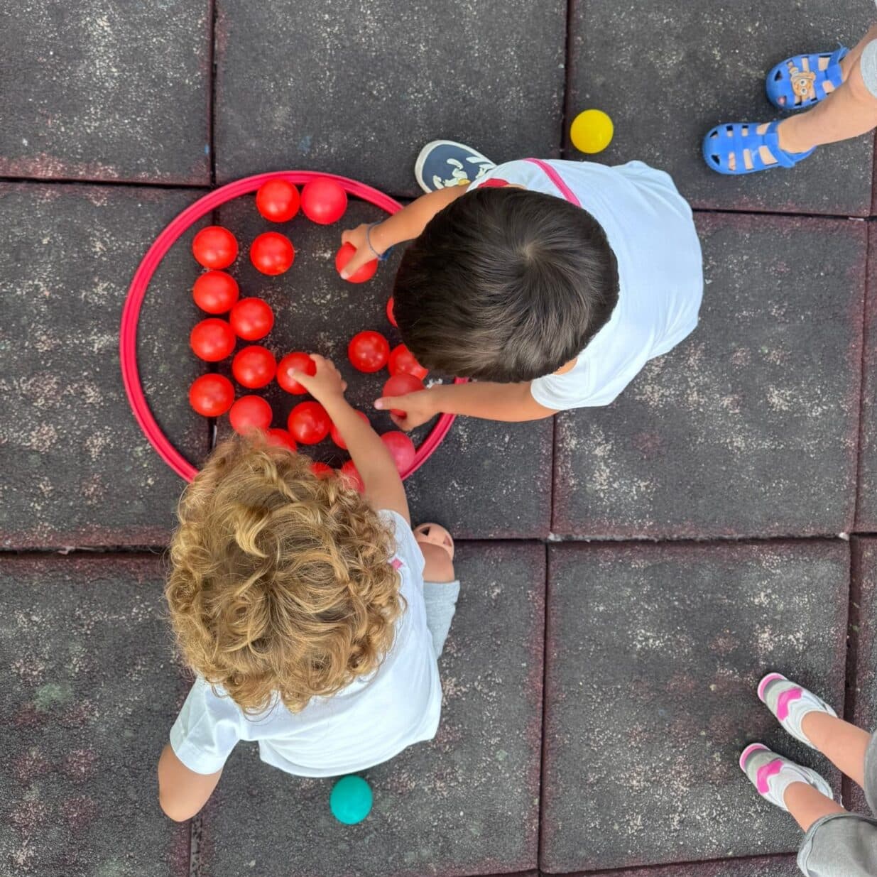 9f44d-536834706_1198156885659568_4699587937899174702_n