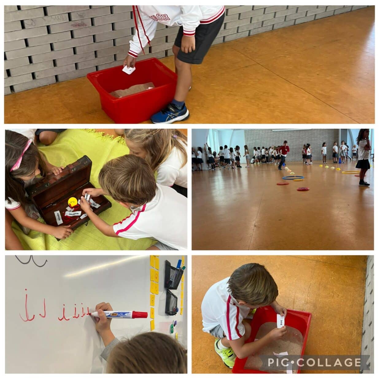 fd0f4-557741760_1231011202374136_2164221683779906996_n