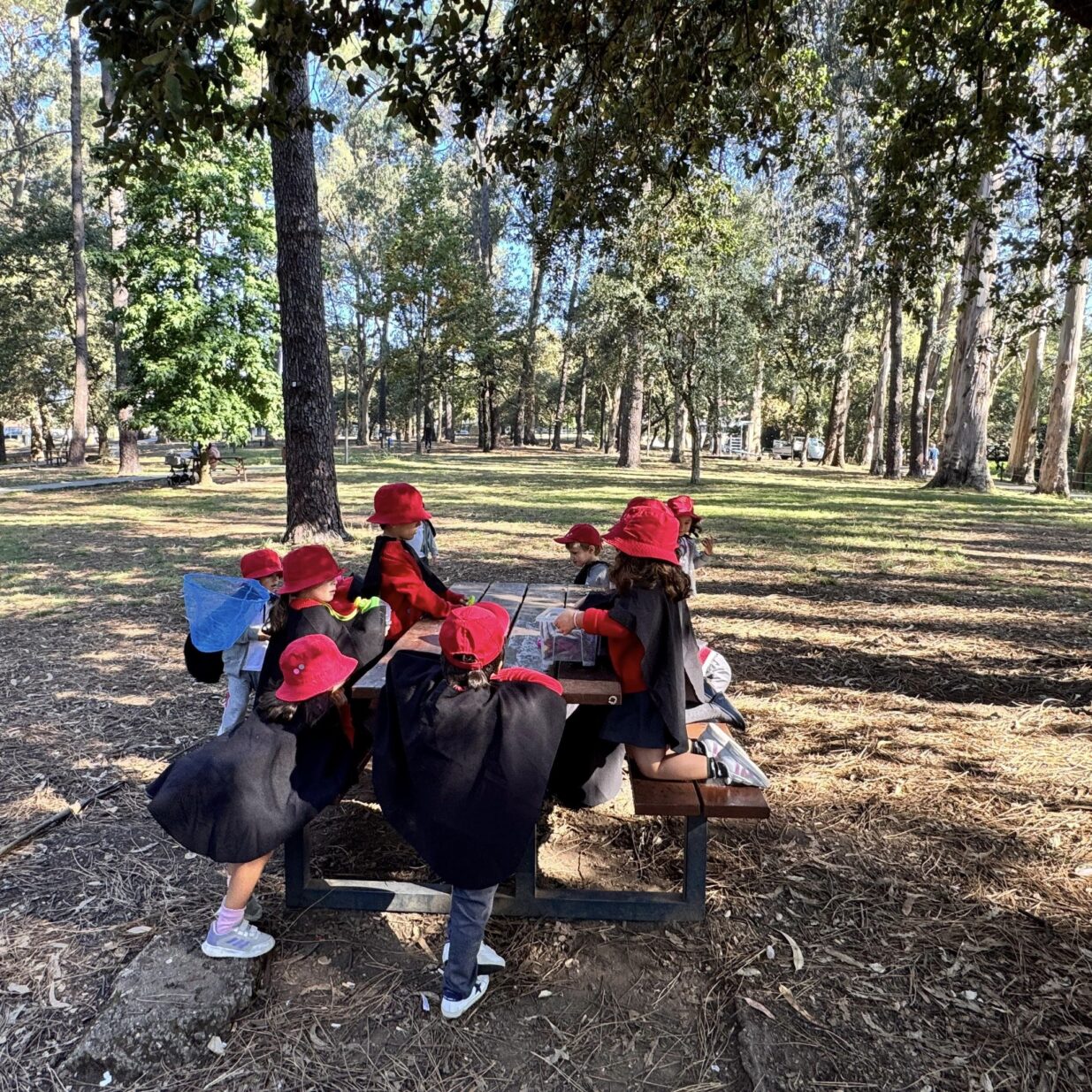 4414c-558018463_1239525301522726_4017795100790520782_n