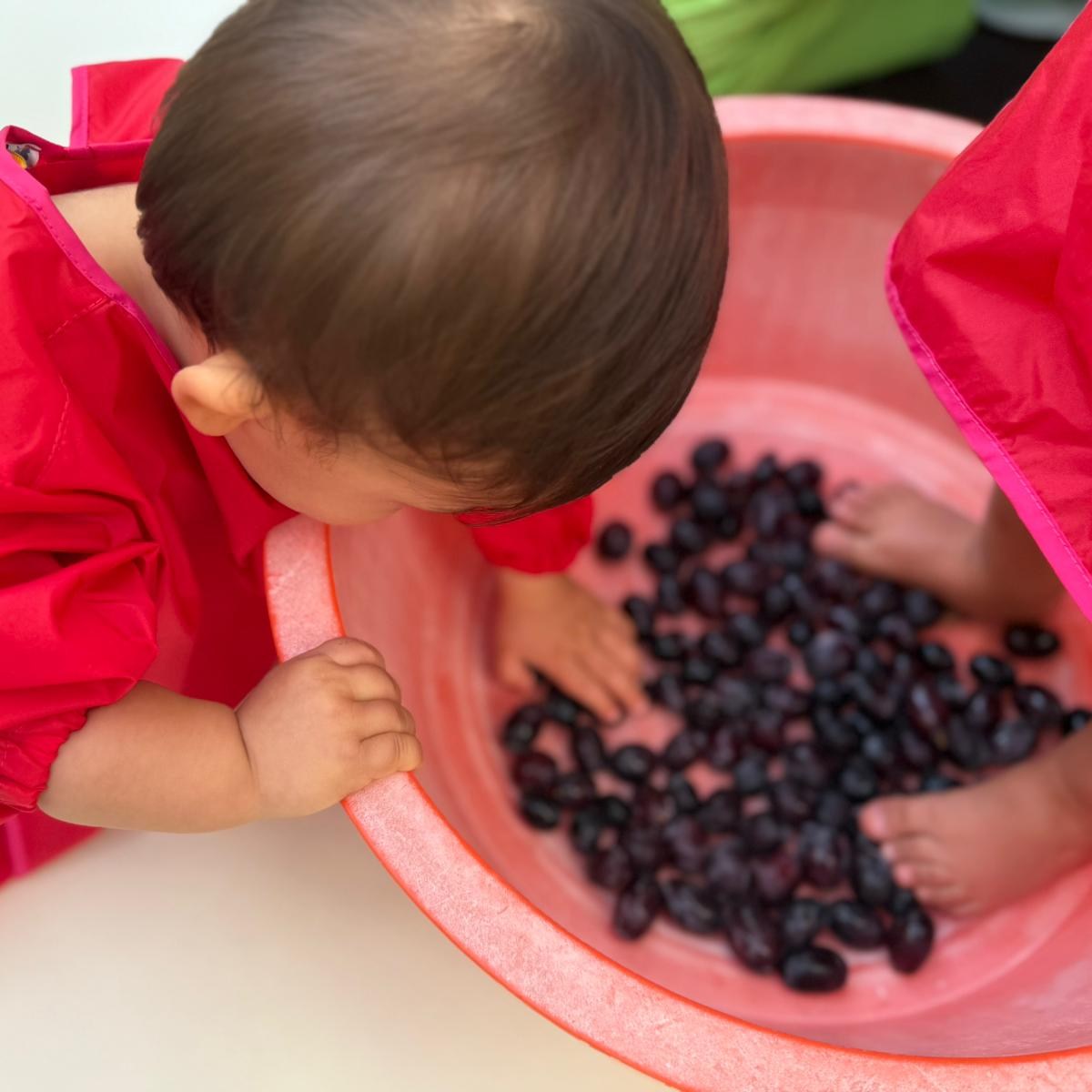 557834147_1239777504830839_3472077295169875230_n