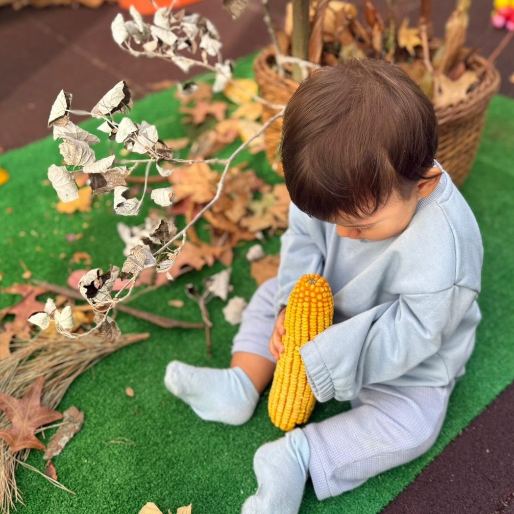 559356565_1240771084731481_6591498773079178400_n