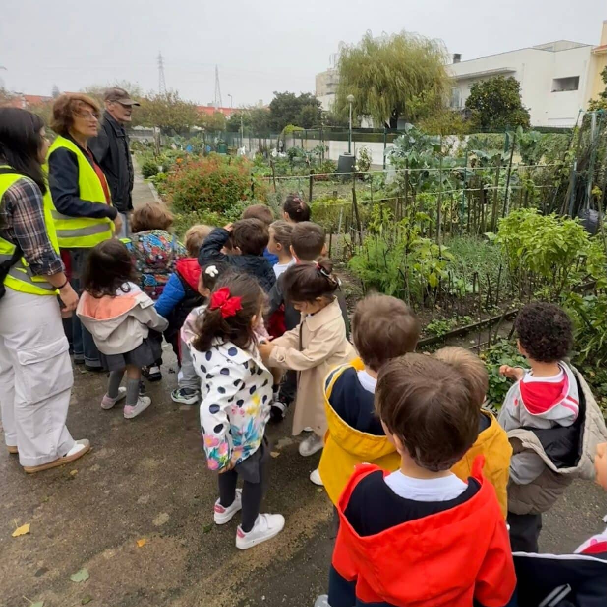 6c521-571430289_1256065409868715_718821653799750376_n