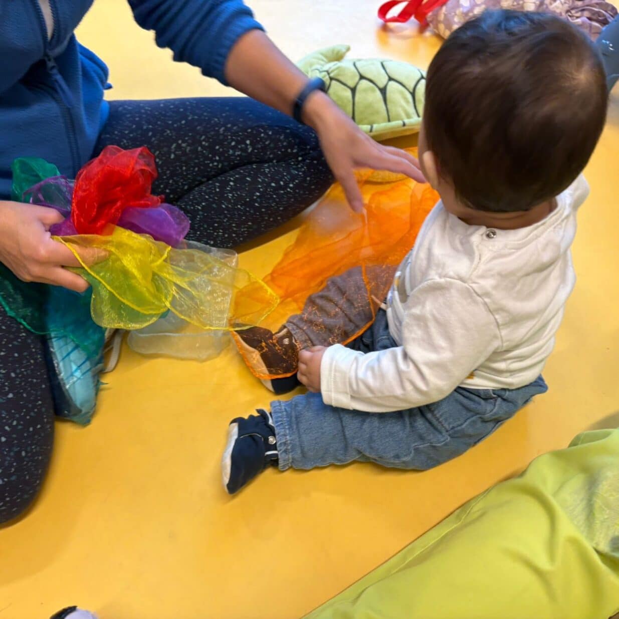 d4433-563004862_1246234984185091_2711820854322338332_n