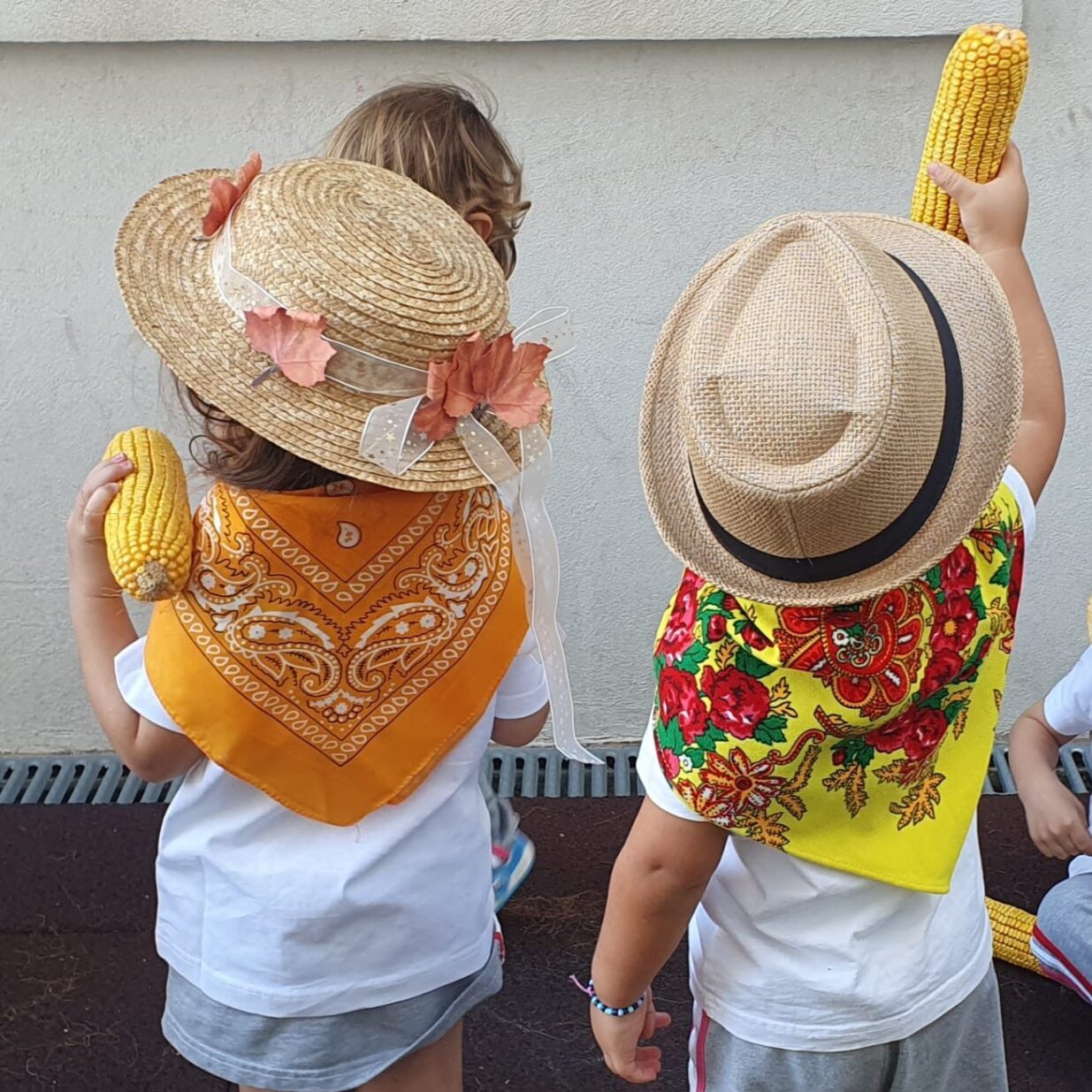 f7ce5-558066360_1233217052153551_6586067772252286485_n