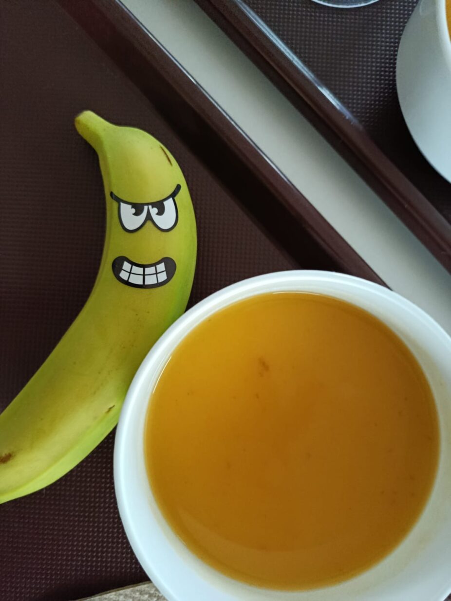 8d46d-574572354_1262894075852515_5081919012636141182_n