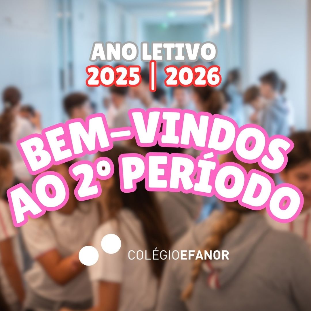 LAYOUT NOTÍCIAS (4)